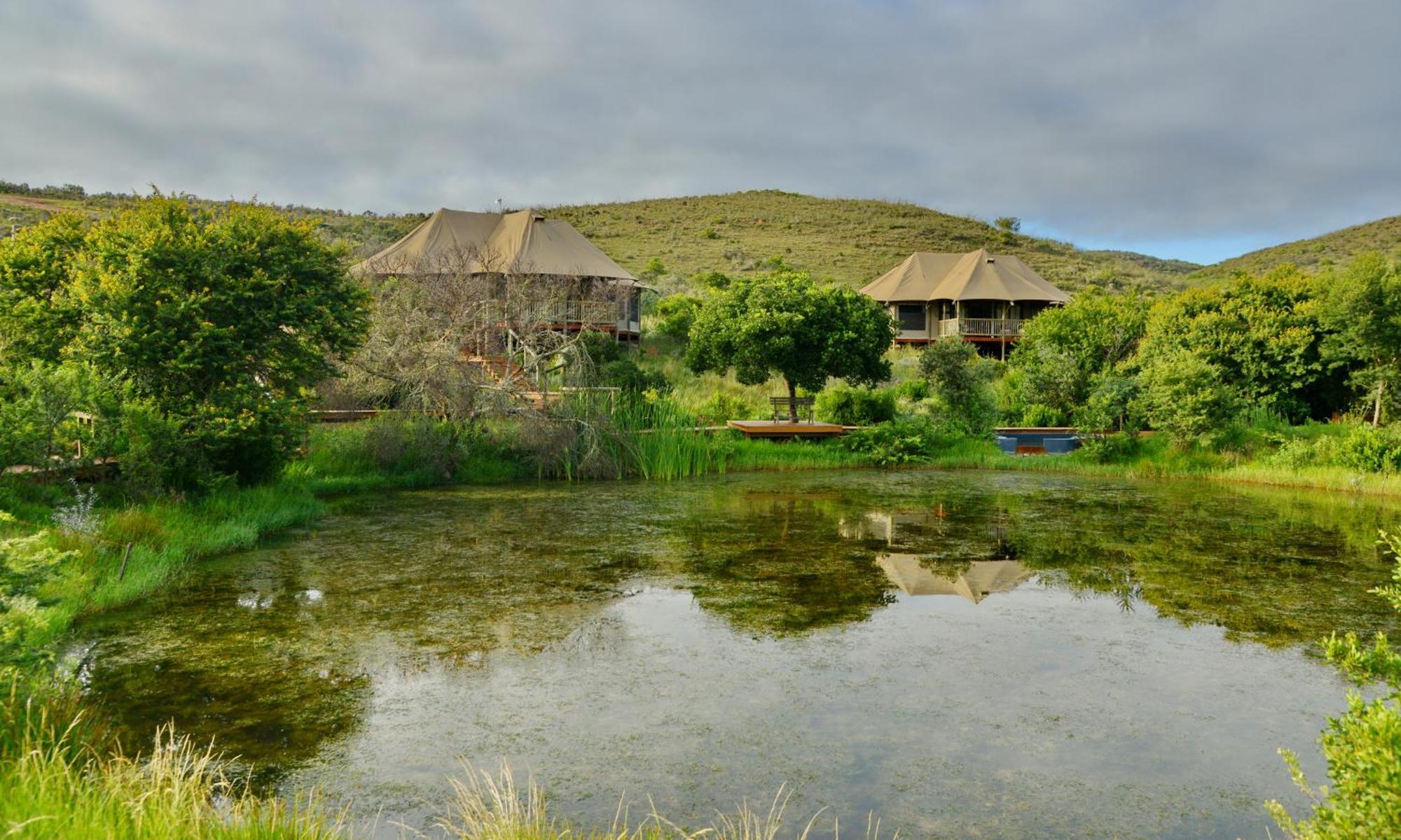 Garden Route Safari Camp Hotel Mossel Bay Kültér fotó